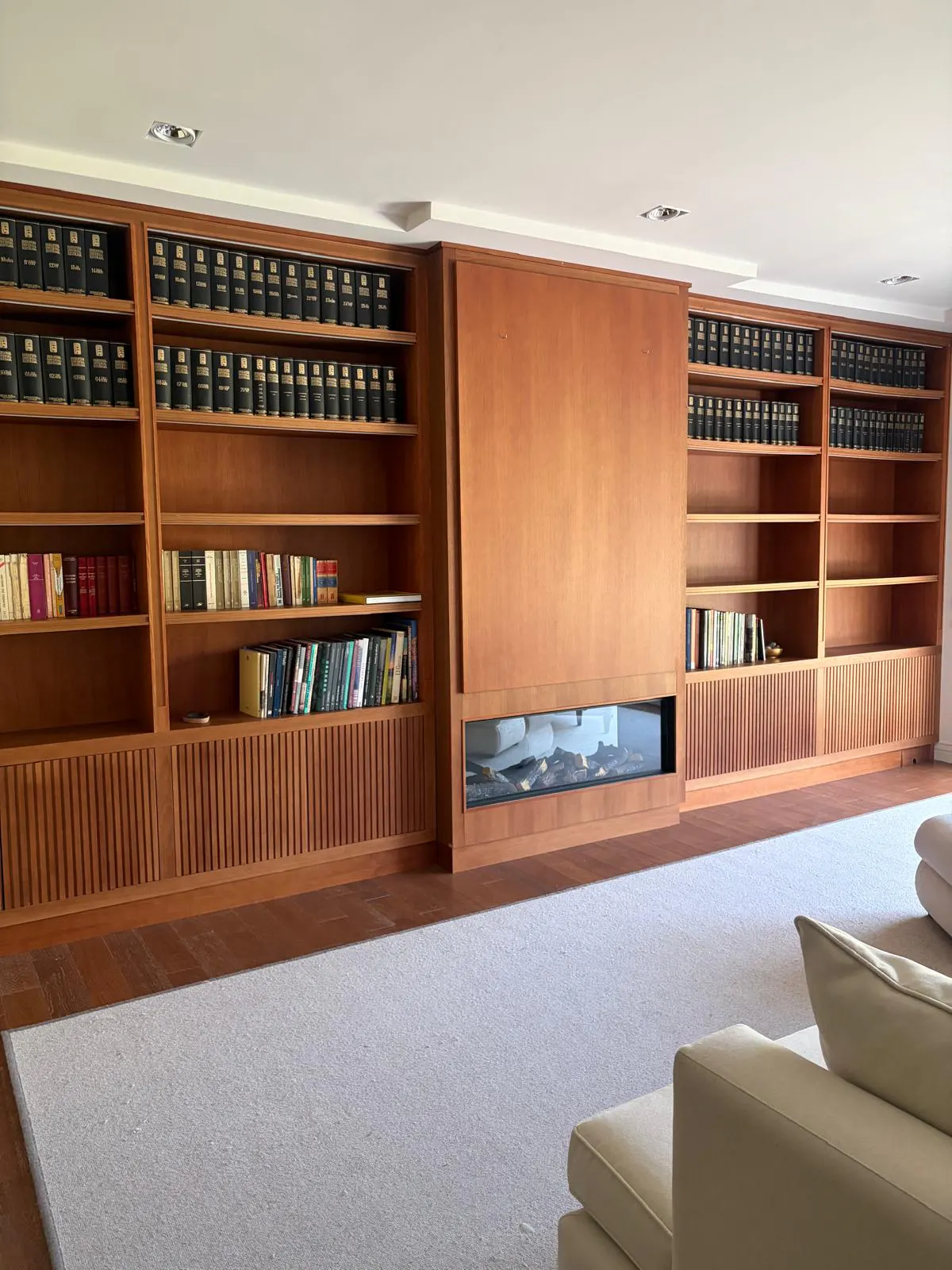 Living room with built-in wooden bookshelves filled with books, a modern fireplace, and a white carpet.