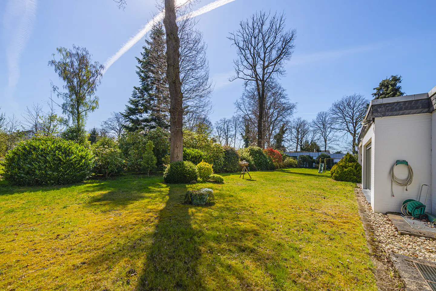 A sunny backyard with green grass, trees, and a white house with a hose.