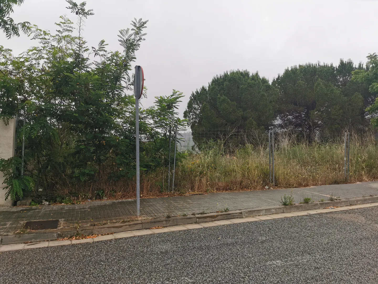 A vacant, overgrown lot with trees and tall grass behind a wire fence, viewed from a paved sidewalk and street.