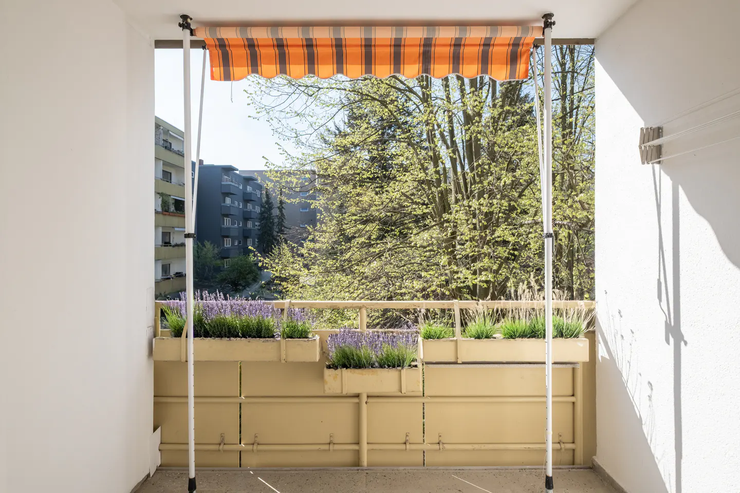 Balcony view with orange striped awning, flower boxes with lavender, and a view of trees and buildings.