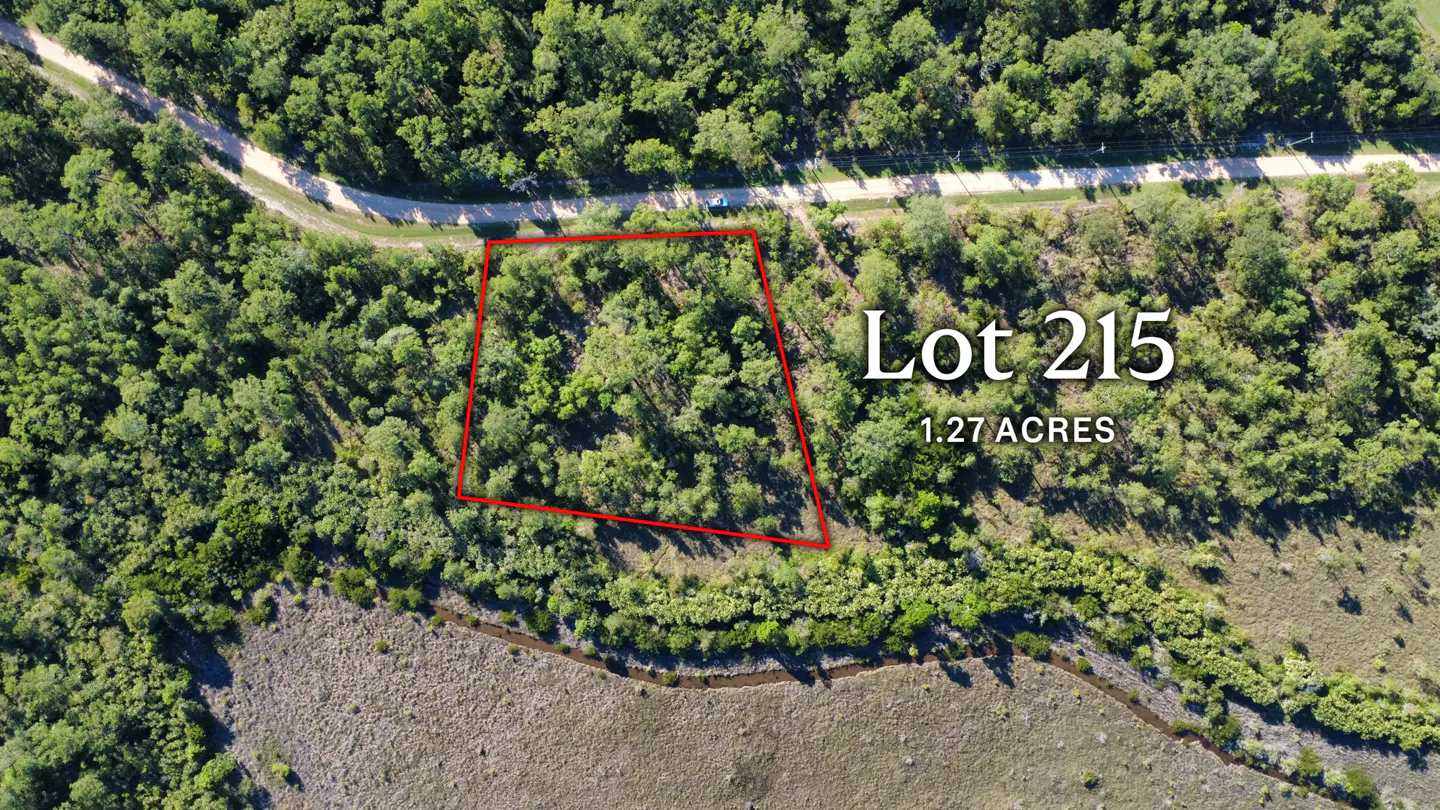 Aerial view of Lot 215, 1.27 acres, outlined in red, surrounded by dense green trees and a dirt road.