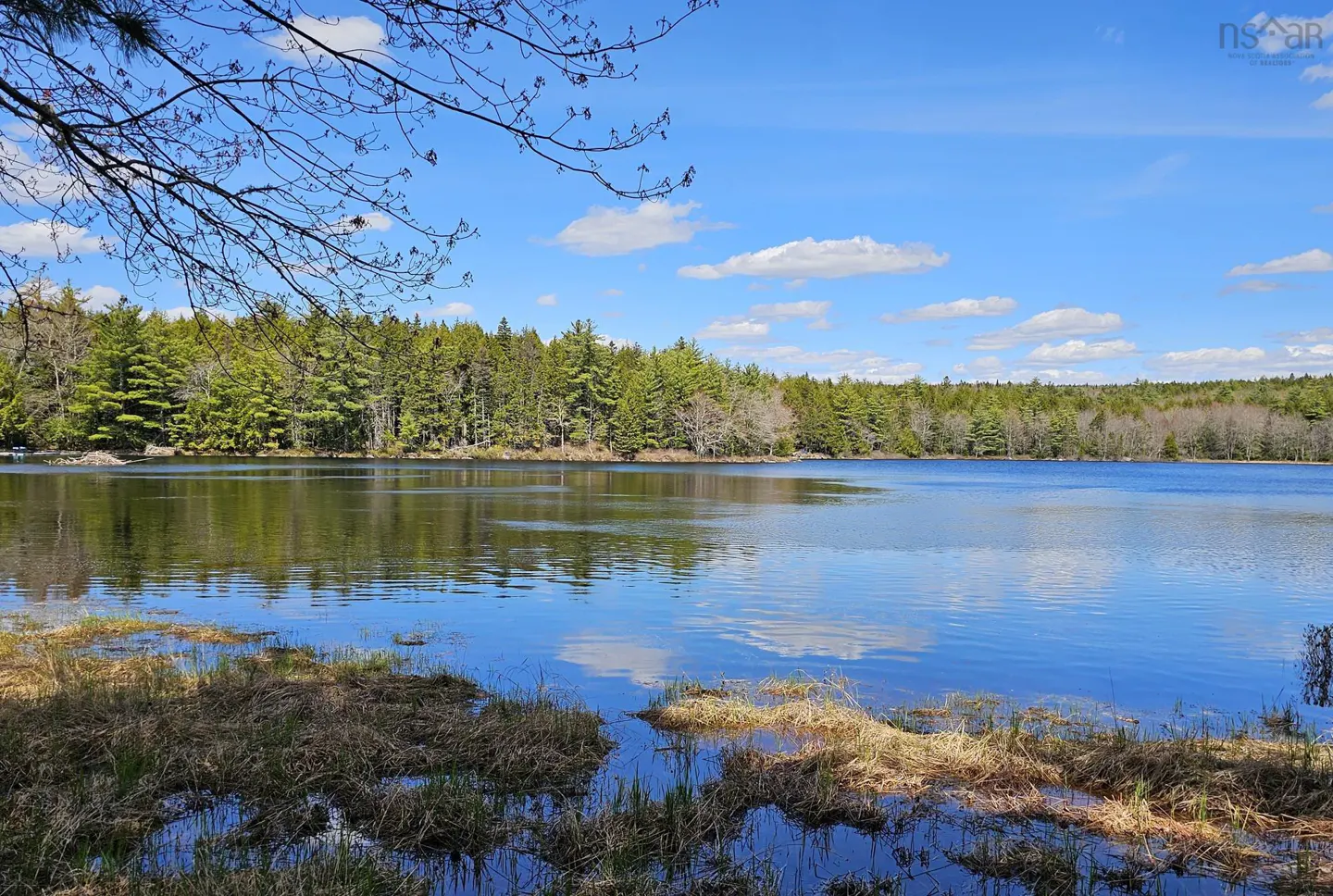 Lake view with blue sky and white clouds reflecting in the water. Green trees line the shore, with brown grass in the foreground.