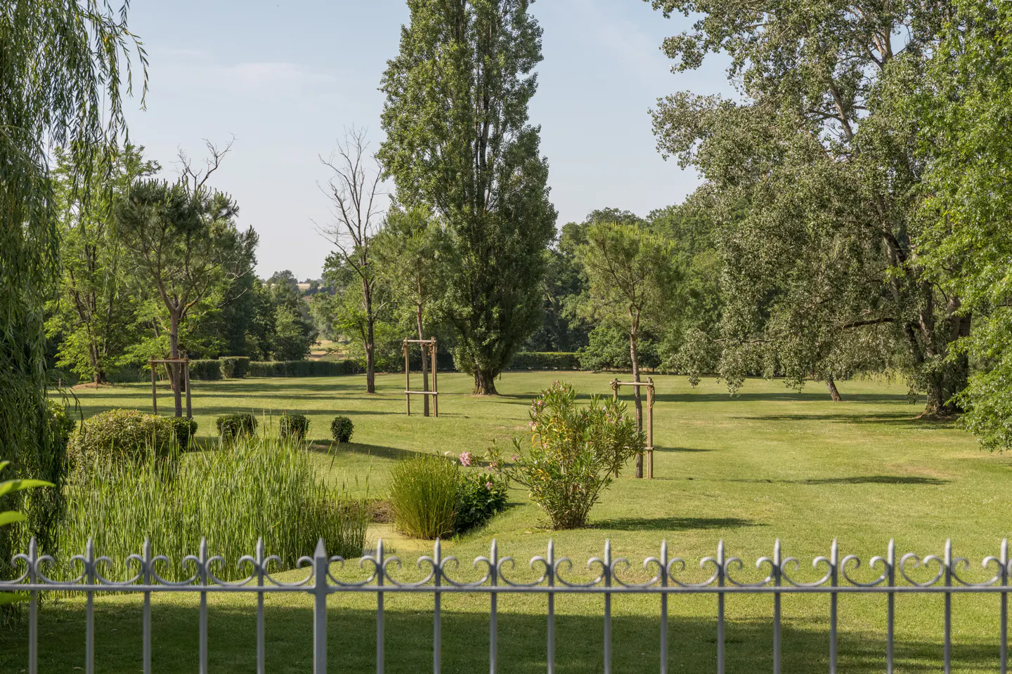 A view of a green lawn with trees and bushes, seen through a gray metal fence.