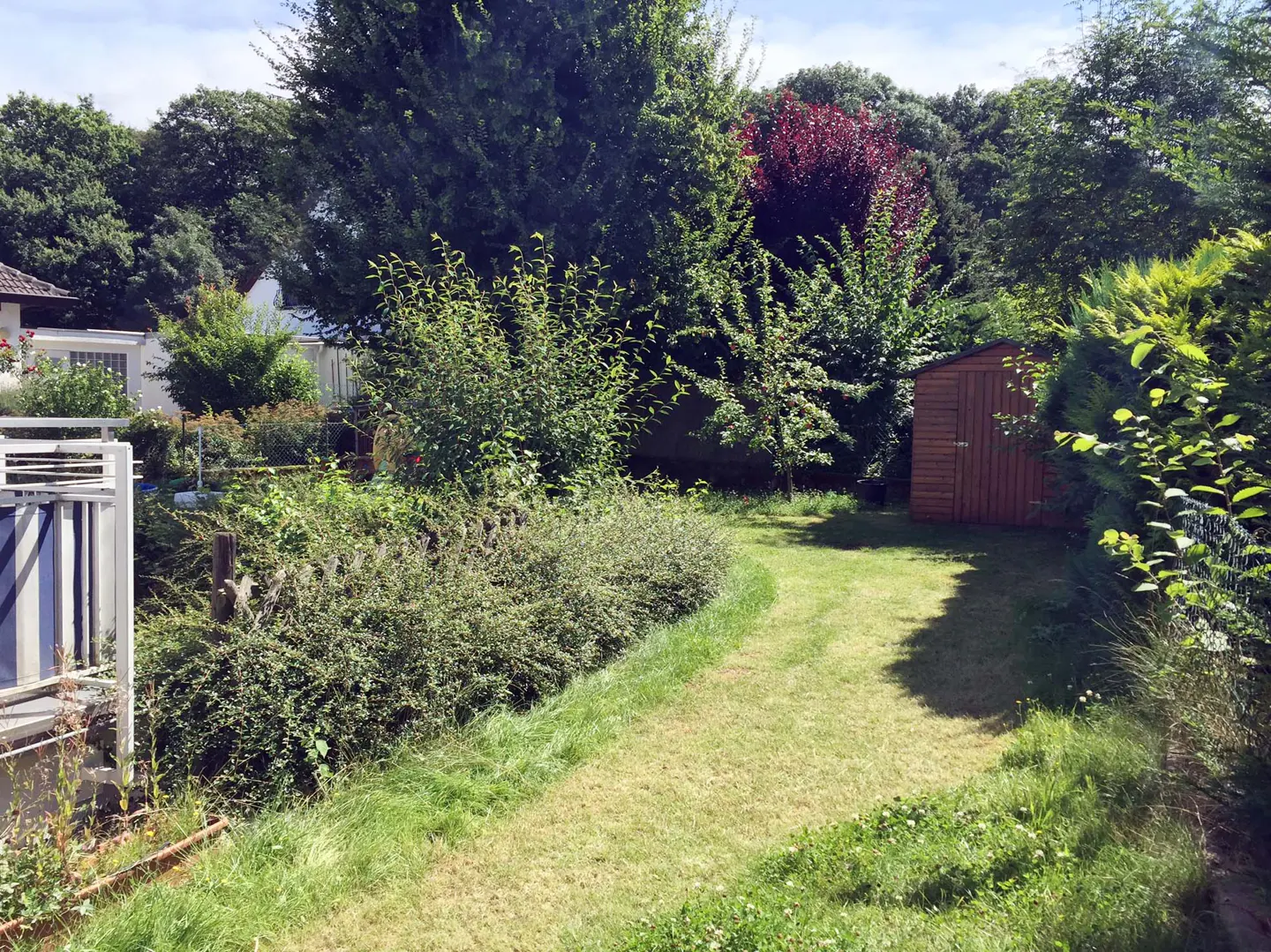 Lush green backyard with a mowed path leading to a wooden shed, surrounded by trees and bushes.