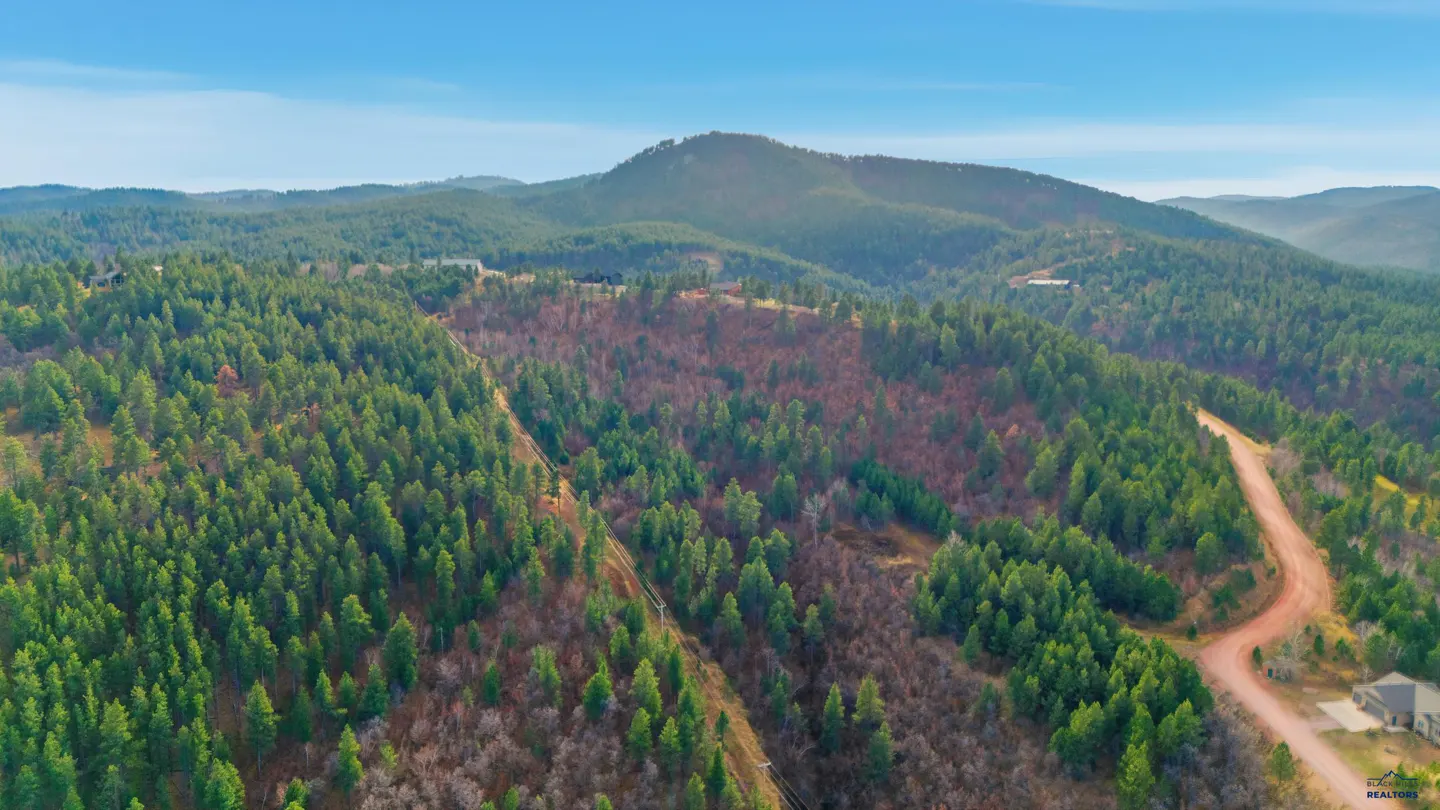 Aerial view of a lush, green forest with a mountain in the background under a clear blue sky. A dirt road winds through the trees.