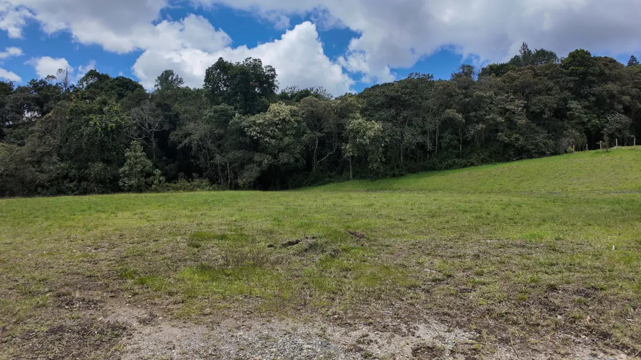 Lush green field with a dense forest backdrop under a partly cloudy sky.