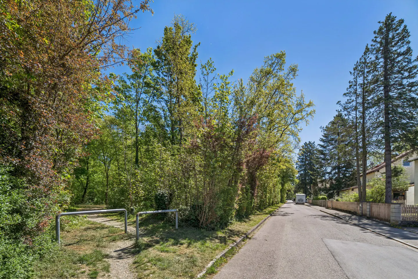 A street view with lush green trees lining the sides under a clear blue sky. A metal barrier marks a path into the woods.