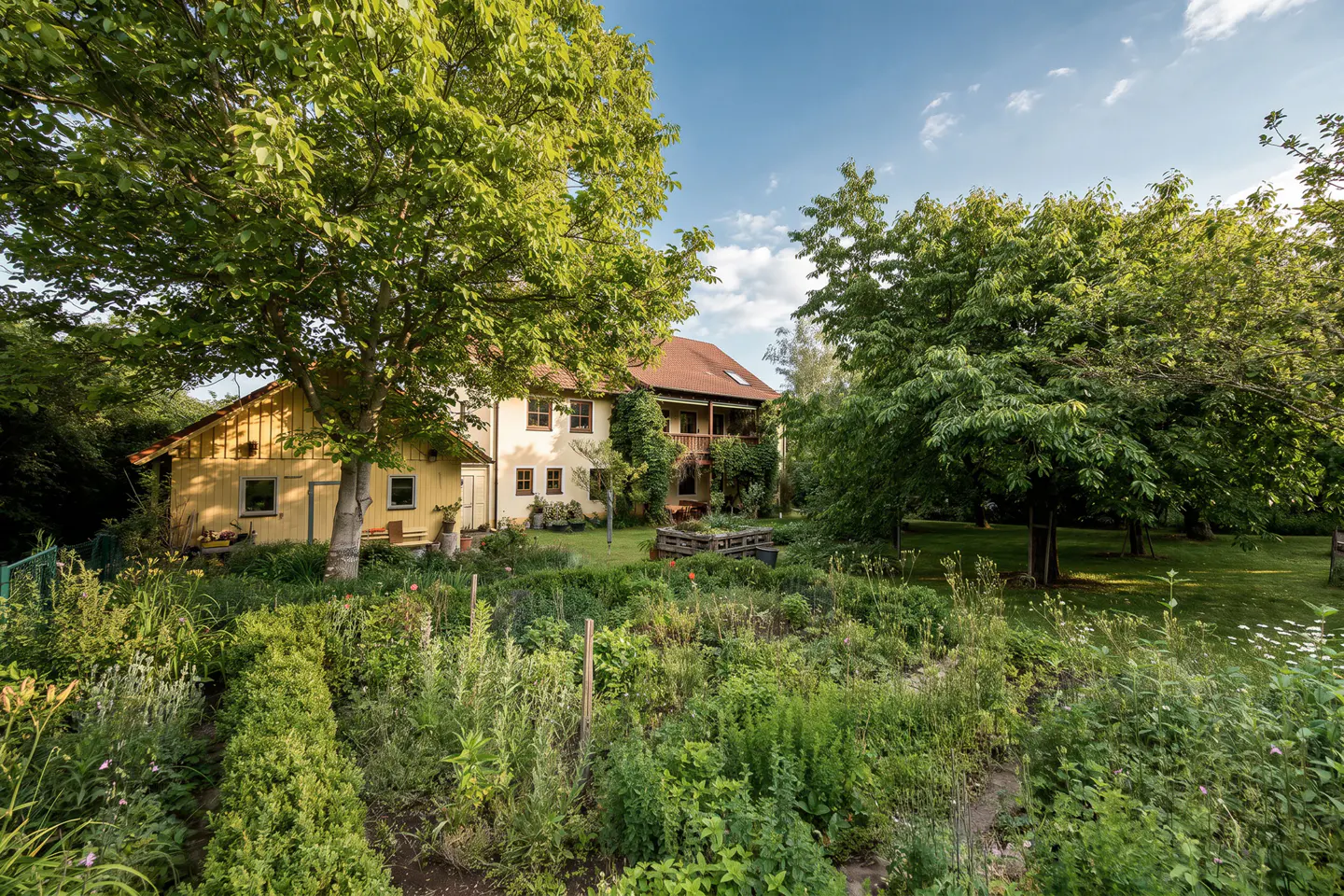 A yellow house and shed sit behind a lush, green garden with trees under a blue sky.