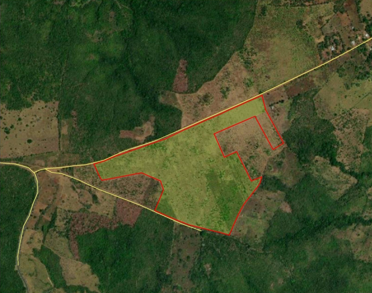 32.8 Hectares of Fully Mechanizable Land