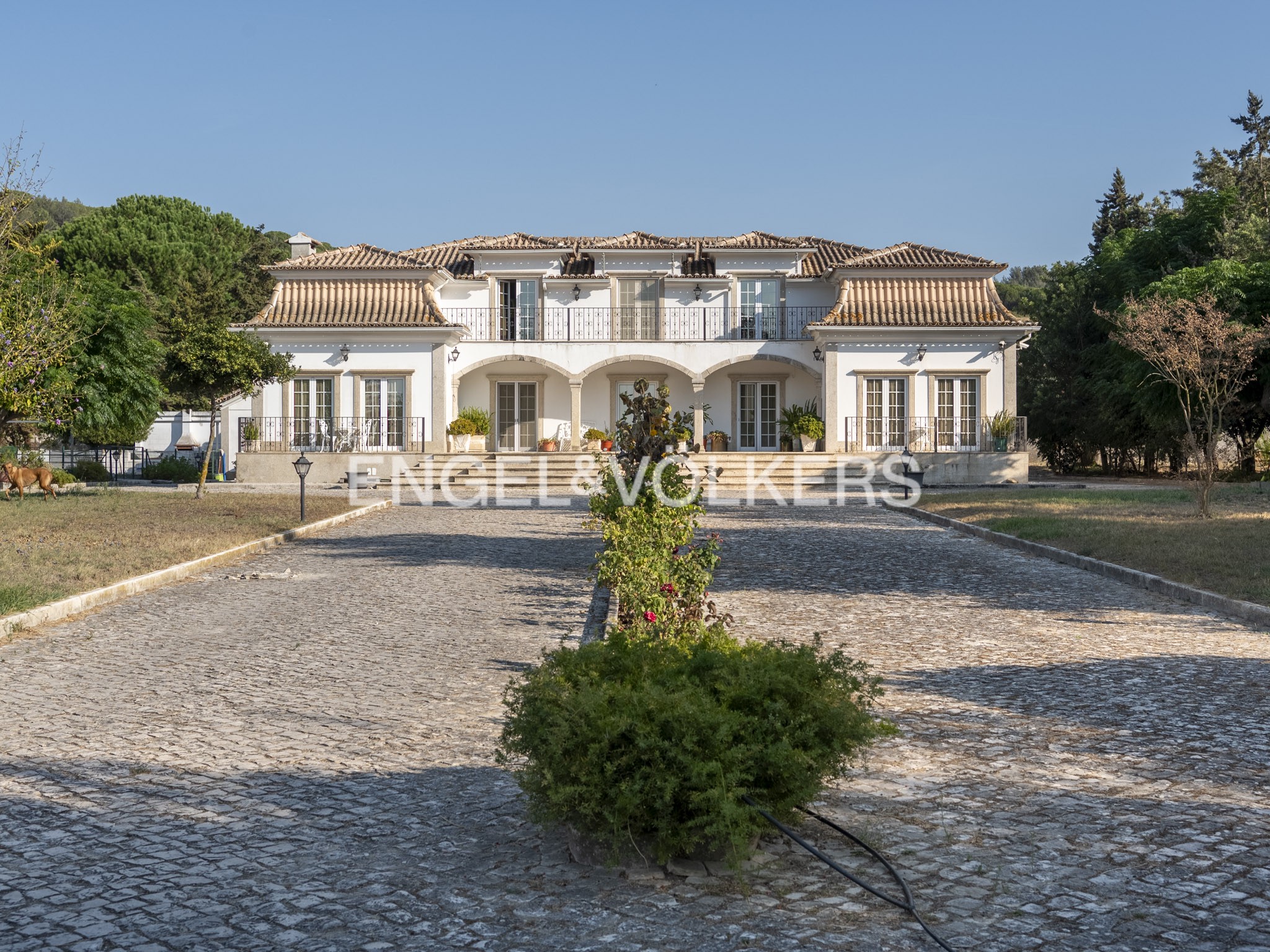 Estate in Azeitão - Arrábida Natural Park