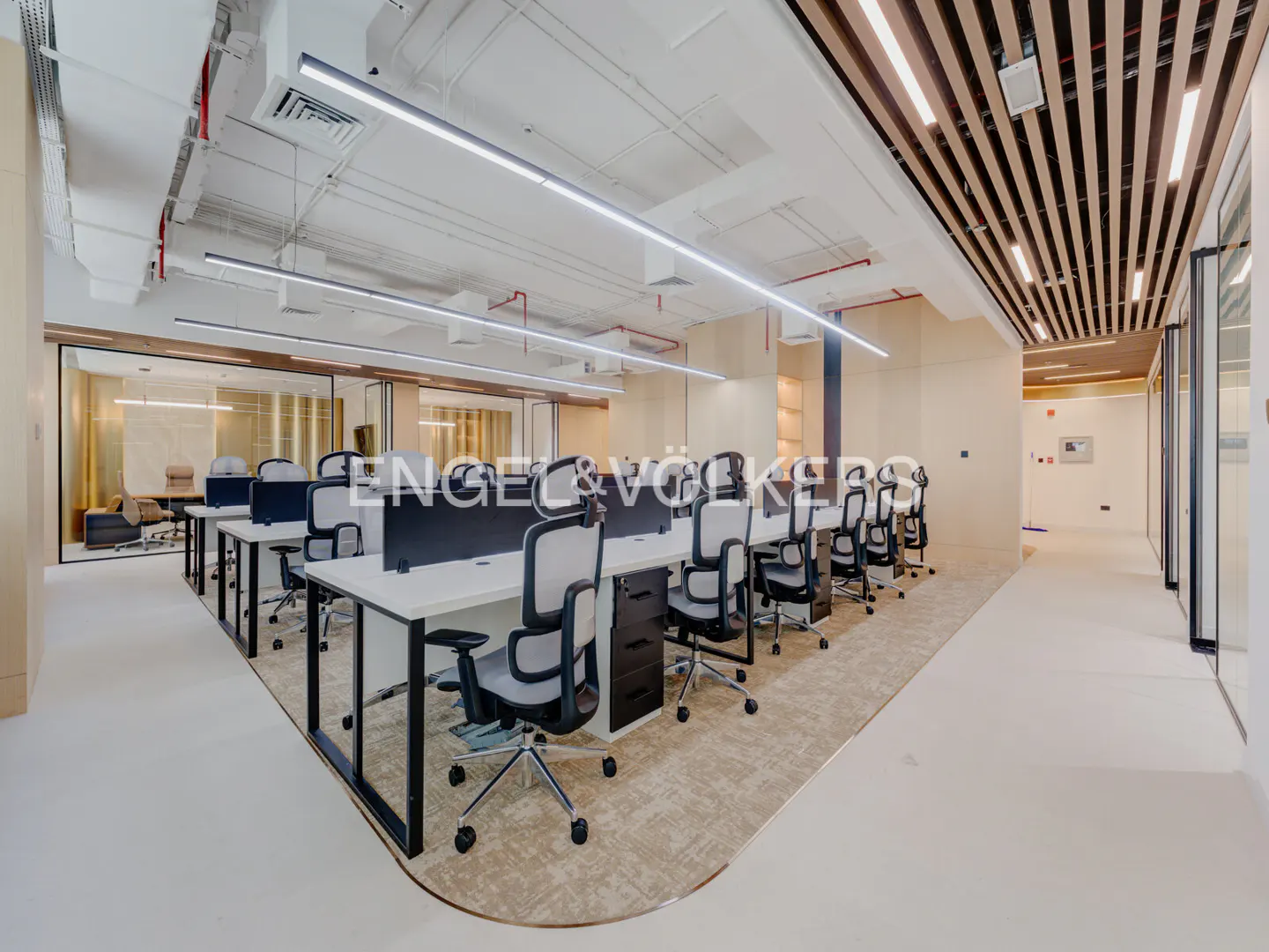 Bright office space with rows of white desks and gray chairs on a beige carpet. Overhead lighting and wood slat ceiling detail.