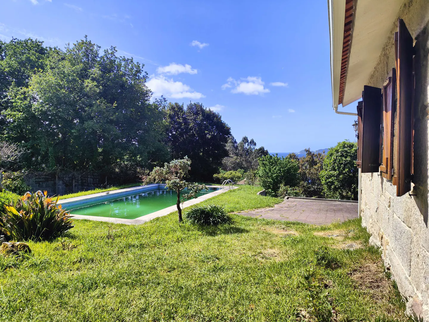 A backyard with a green pool, grass, trees, and a stone house with brown shutters on a sunny day.