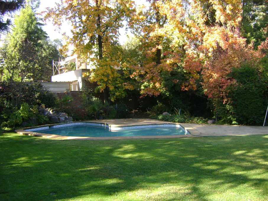 Backyard pool with green grass, trees with yellow and red leaves, and a house in the background.