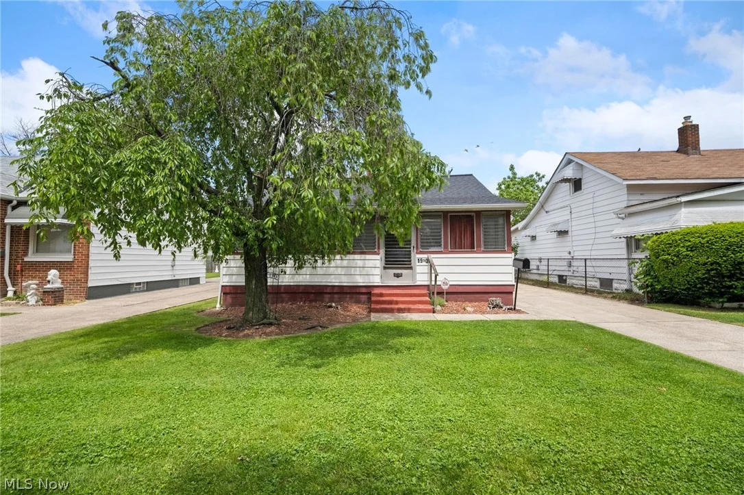 Single Family Investment Property in Euclid