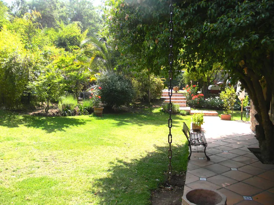 Lush green backyard with a stone patio, bench, and a chain hanging from a tree. Steps lead up to a garden with flowers and greenery.