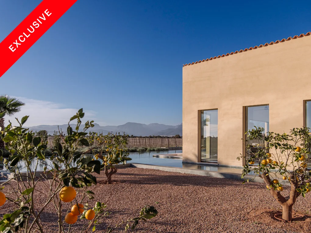State of the art finca with vineyard