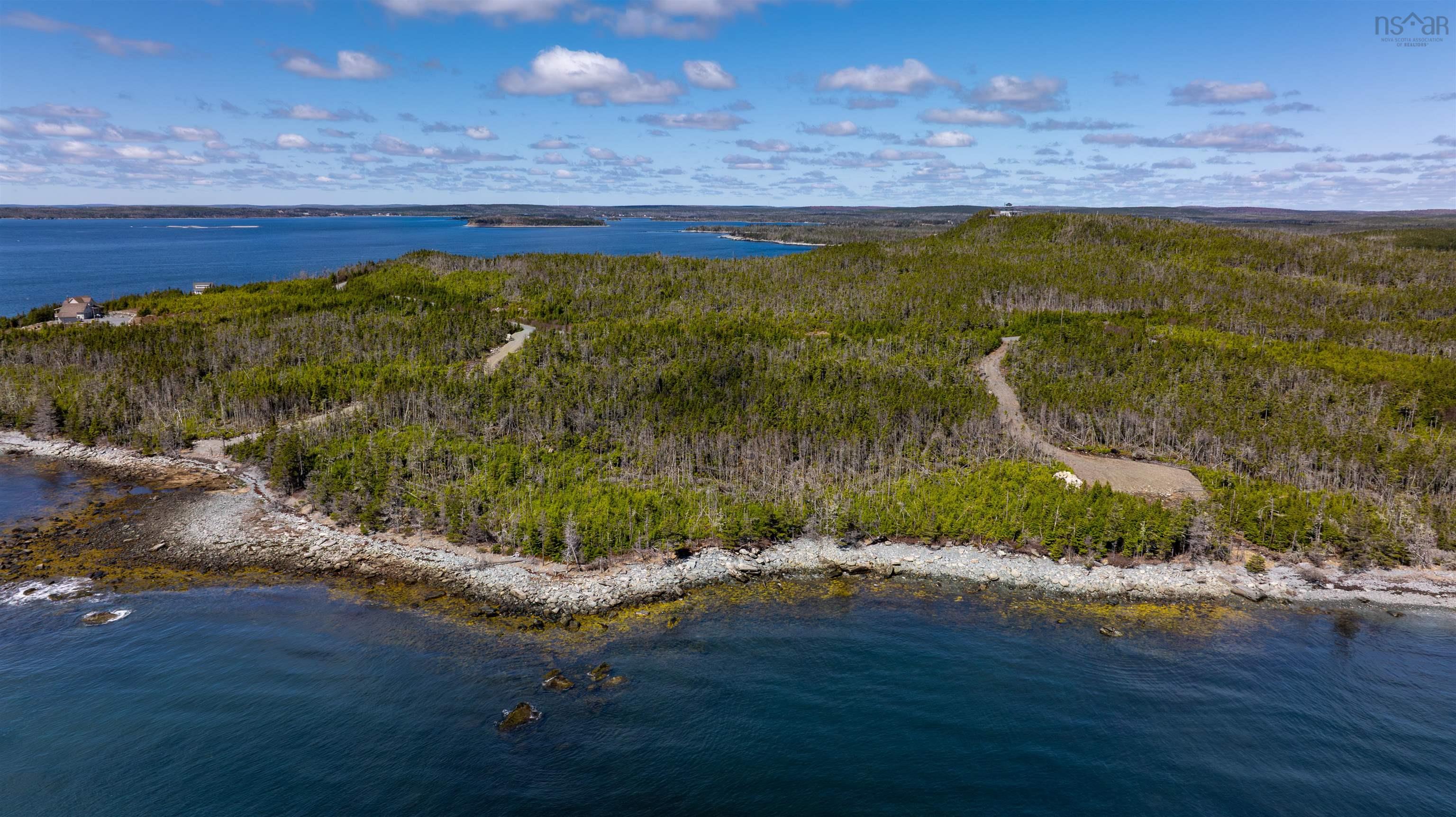 Aerial view of a wooded coastline with a rocky beach, blue water, and a few buildings visible in the distance.