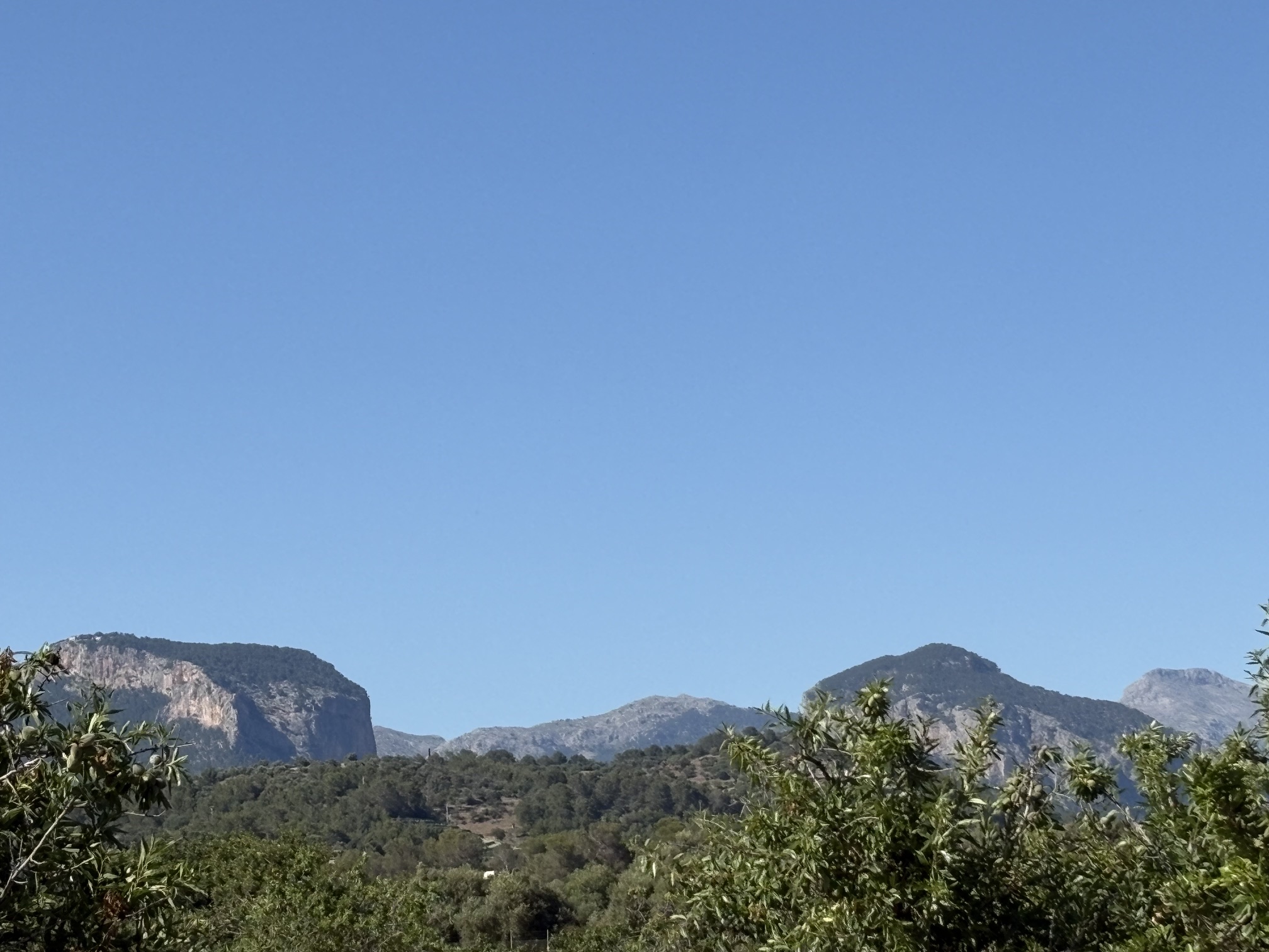 Building plot in prime location, Santa María del Camí