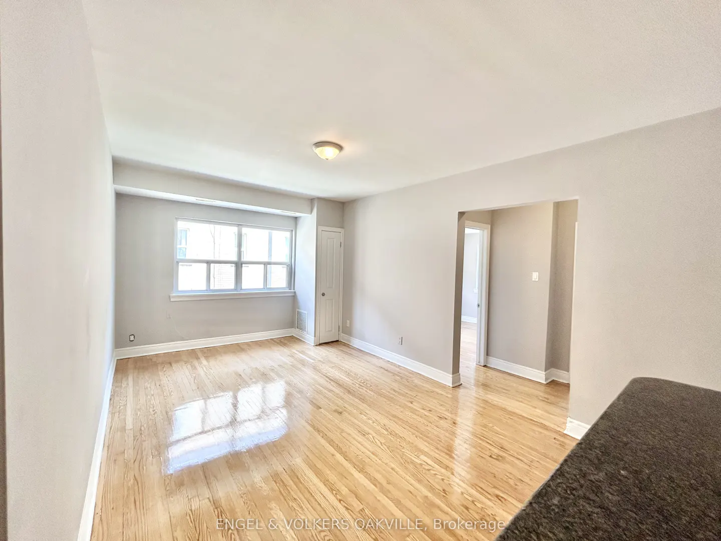 Bright, empty living room with light grey walls, polished hardwood floors, a large window, and a doorway to another room.
