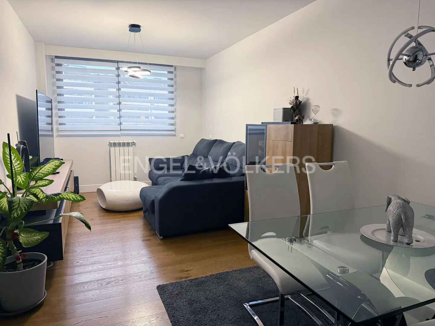 Living room with wood floors, a blue sofa, a glass table with white chairs, and a potted plant.