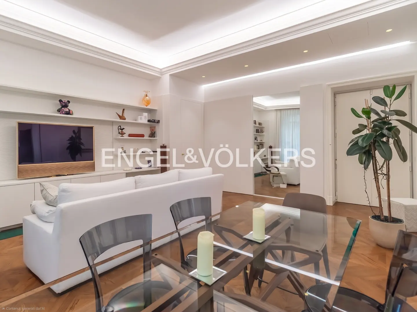 Living room and entrance view