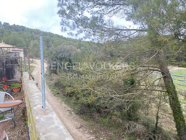 View from a patio with a table and chairs, overlooking a dirt road and wooded area. The sky is overcast.