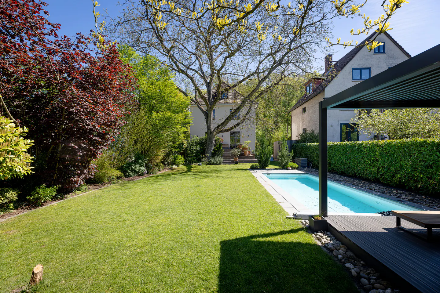A backyard with a pool, green lawn, trees, and a house in the background on a sunny day.