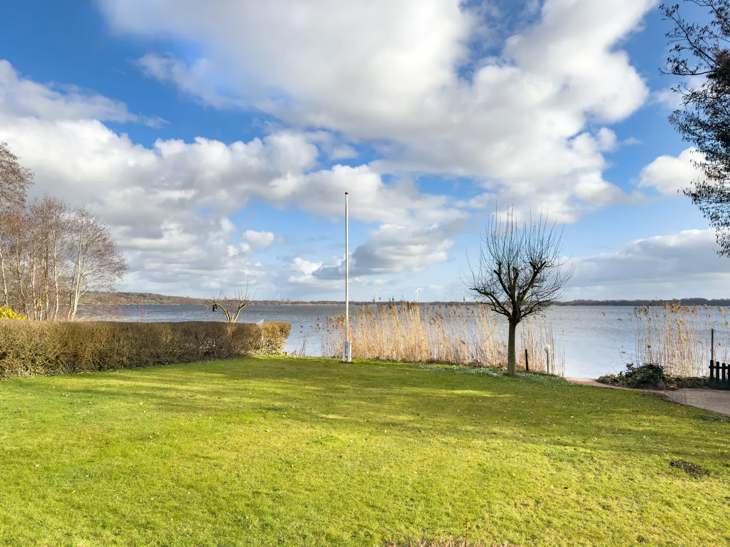 Lawn view of a lake under a blue, cloudy sky. Tall grass and a bare tree are near the water.