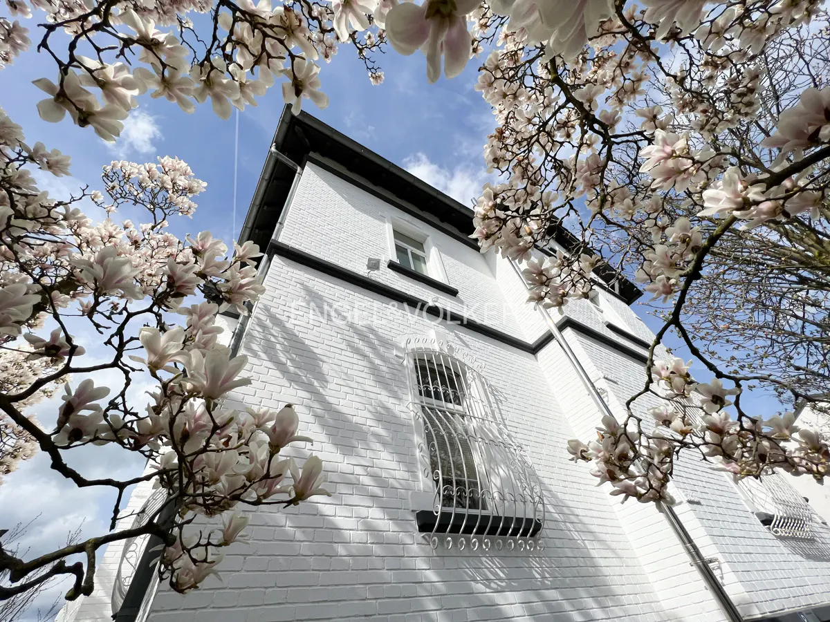 Low angle view of a white brick house framed by blooming magnolia branches against a blue sky.