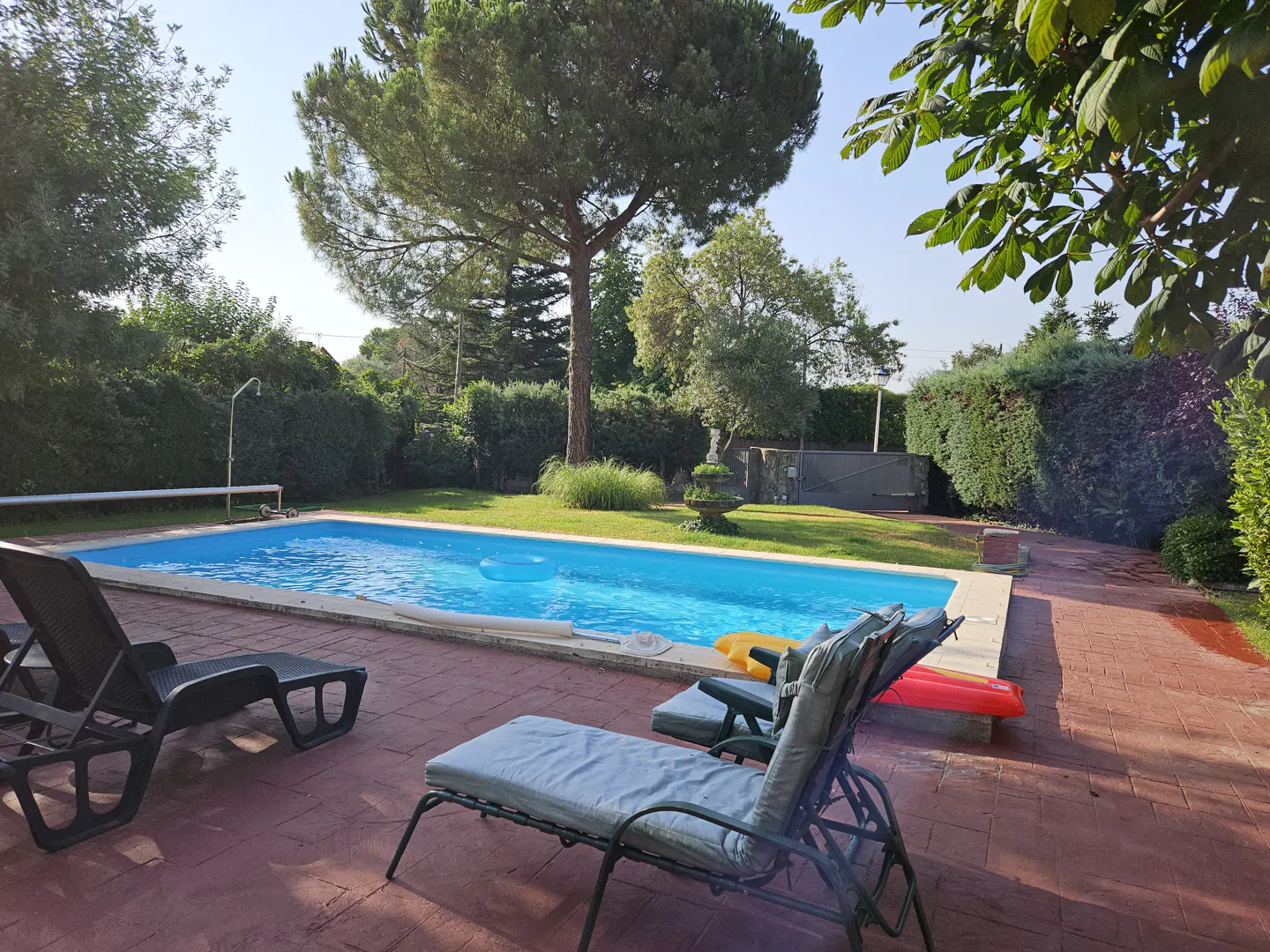 A backyard with a blue swimming pool, lounge chairs, and green trees.