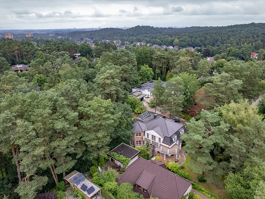 Aerial view of houses nestled among green trees, with a city skyline visible in the distance under a cloudy sky.