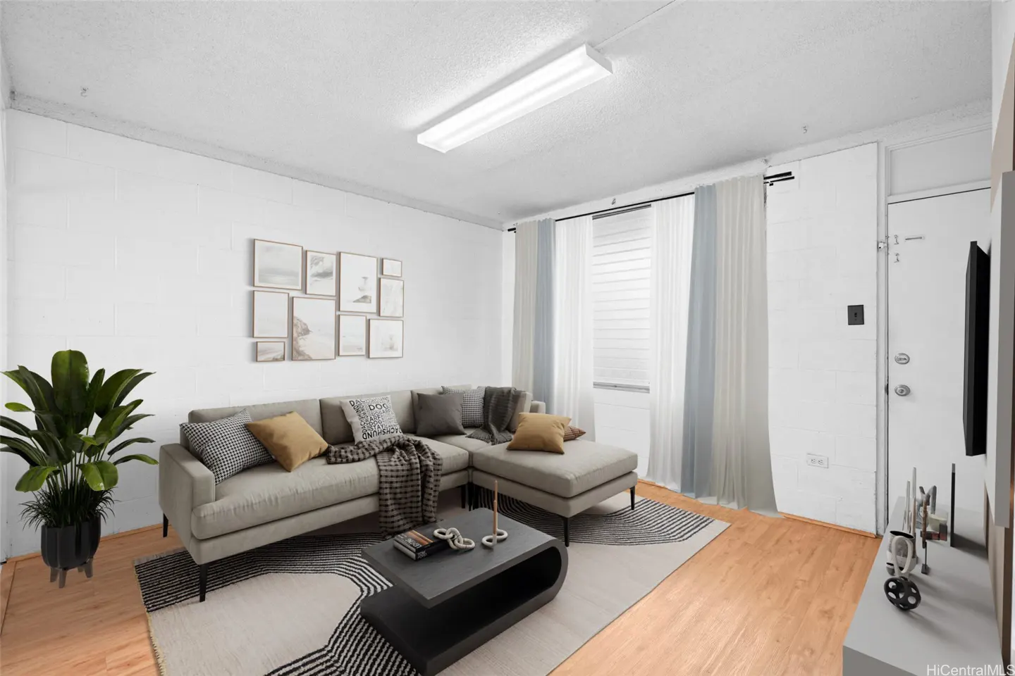 Living room with white walls, wood floors, and a gray sectional sofa. A black coffee table sits on a patterned rug. A gallery wall and a potted plant add decor.