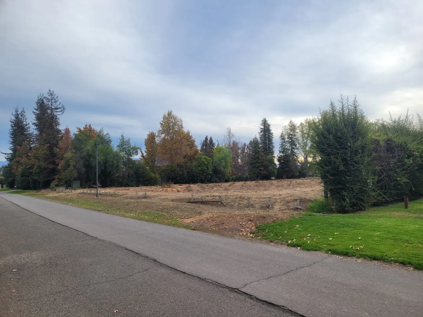 Vacant lot with trees under a cloudy sky, viewed from a paved road. Green grass on the right.
