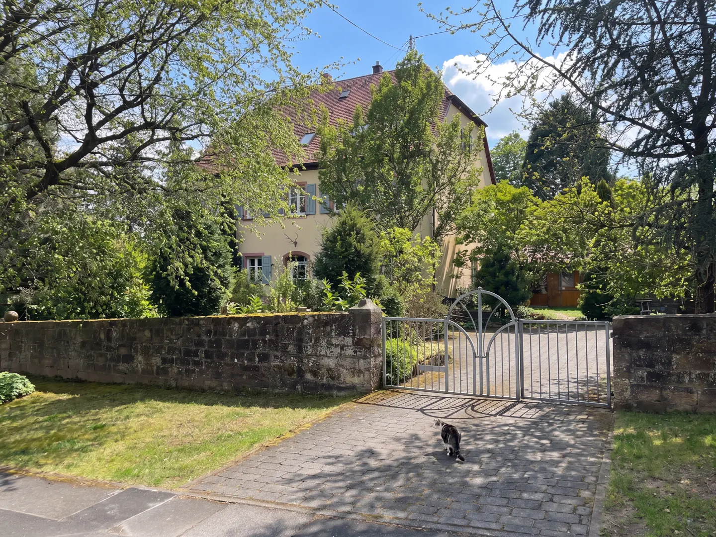 A two-story house with a red roof and blue shutters, seen through a metal gate and stone wall. A black and white cat walks on the paved driveway.