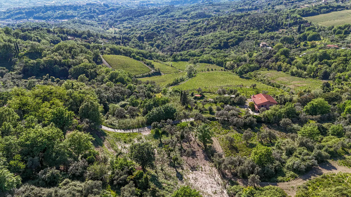 Aerial view of a red-roofed house nestled in a lush, green Italian hillside landscape with vineyards and olive trees.