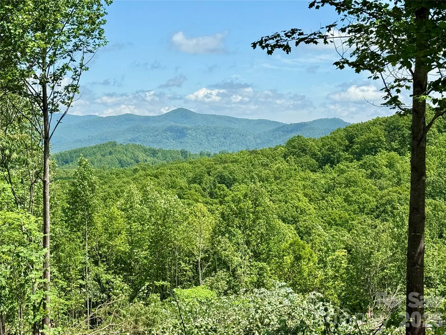 Scenic view of lush green forest and distant blue mountains under a partly cloudy sky. Tall trees frame the landscape.