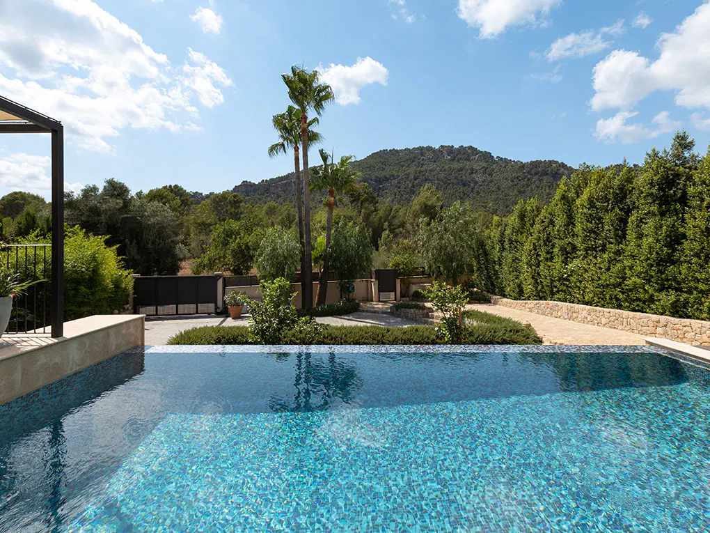 A blue tiled pool reflects the sky, with palm trees and a green, wooded hillside in the background.