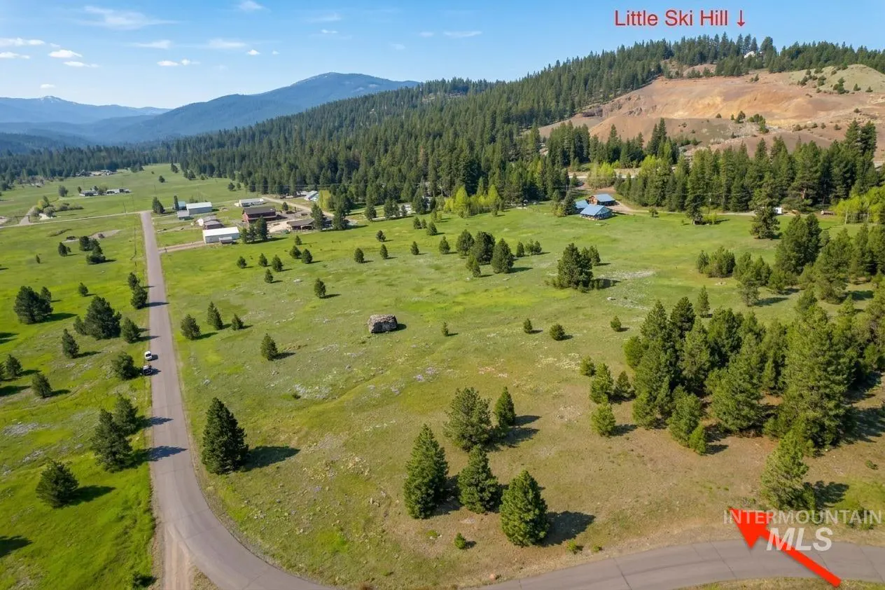 Aerial view of a green meadow with scattered trees, a road, and buildings, backed by forested hills and a "Little Ski Hill" sign.