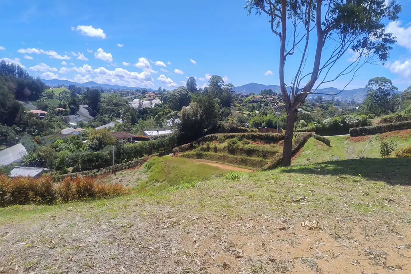 Scenic view of a green hillside with scattered houses, trees, and mountains under a blue sky with white clouds.