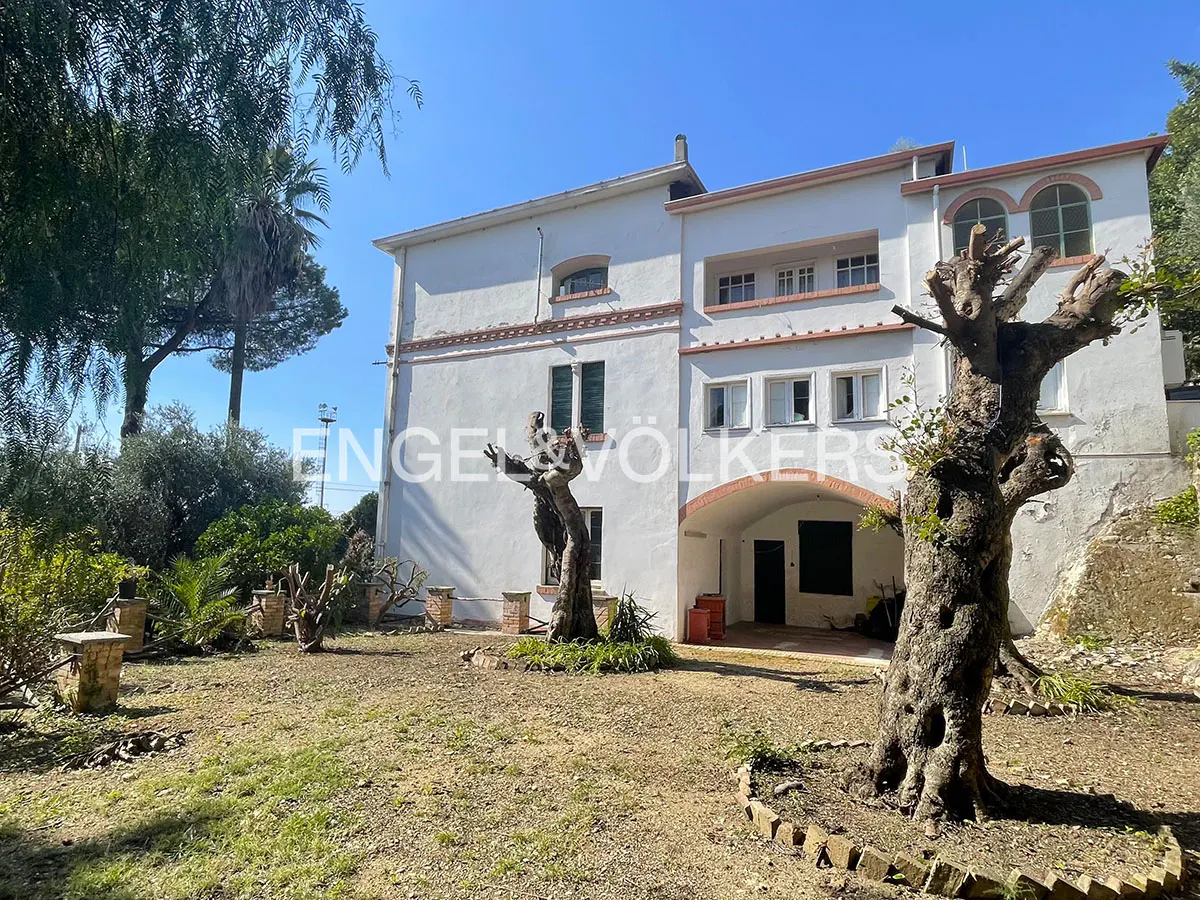 A three-story white villa with a covered ground-floor entrance, surrounded by a garden with large, gnarled olive trees.