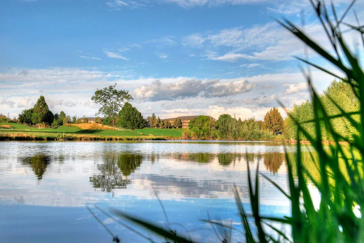 Scenic view of a calm lake reflecting trees and a blue, cloudy sky. Green grass blades are in the foreground.