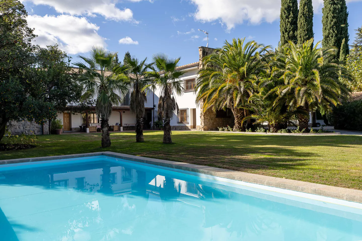 A bright blue pool in front of a white house with palm trees and green lawn under a blue sky.