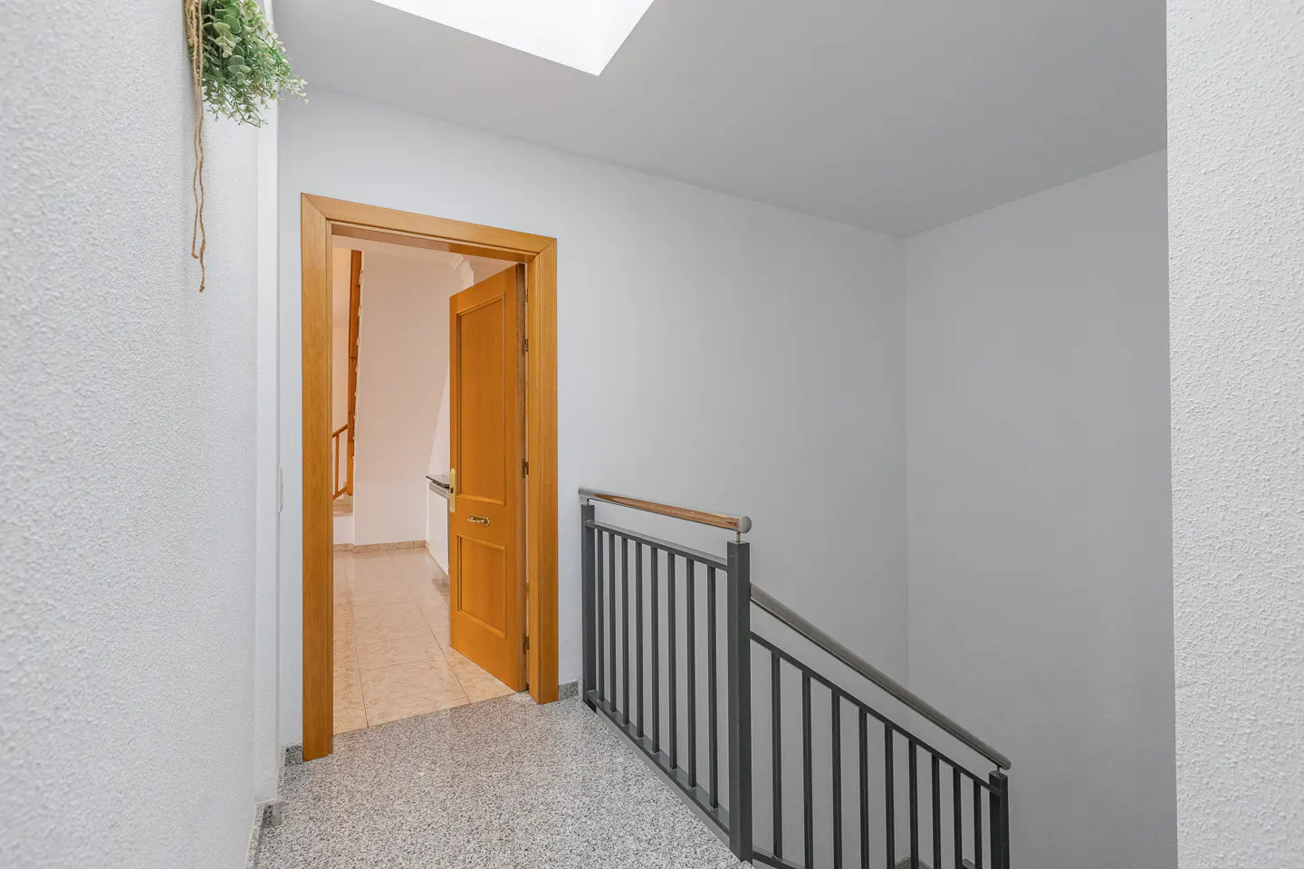 Hallway with white walls, speckled floor, and a wooden door ajar. A gray metal railing leads to stairs. Skylight above. Plant on the wall.