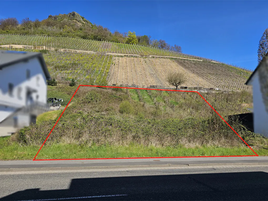 Vacant lot outlined in red, with a hillside vineyard in the background under a blue sky.