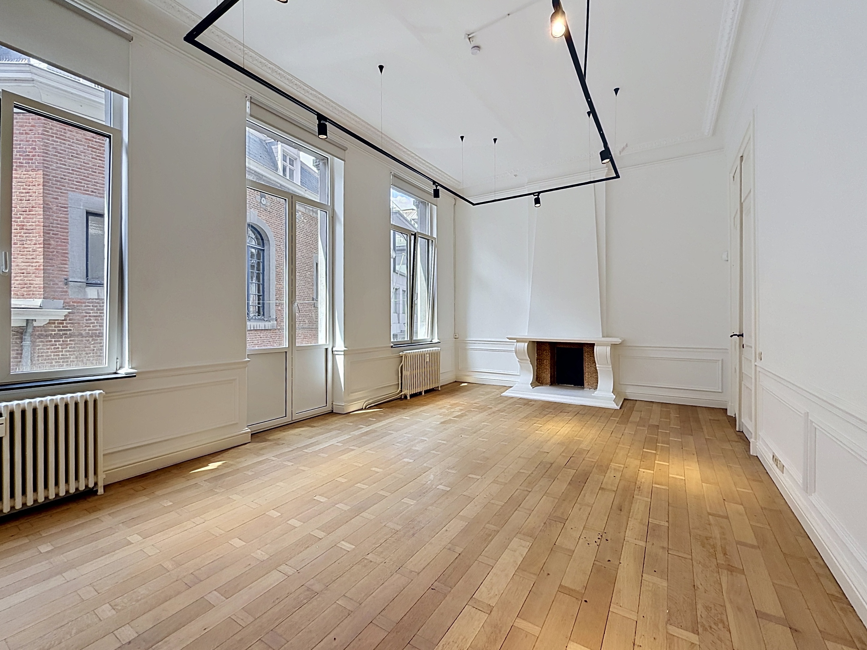 Fully renovated character apartment