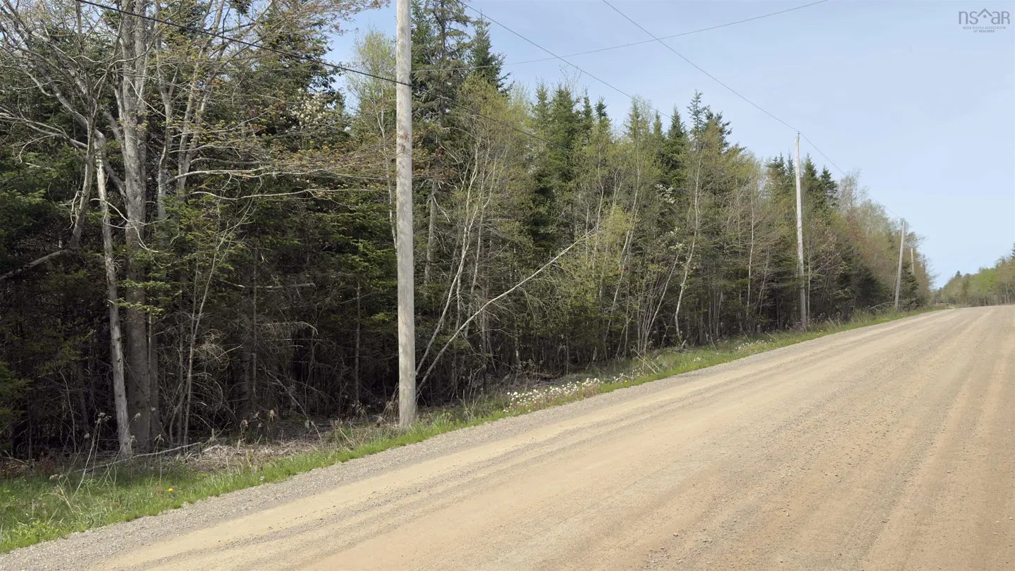 Gravel road with tire tracks runs alongside a forest with utility poles under a blue sky.