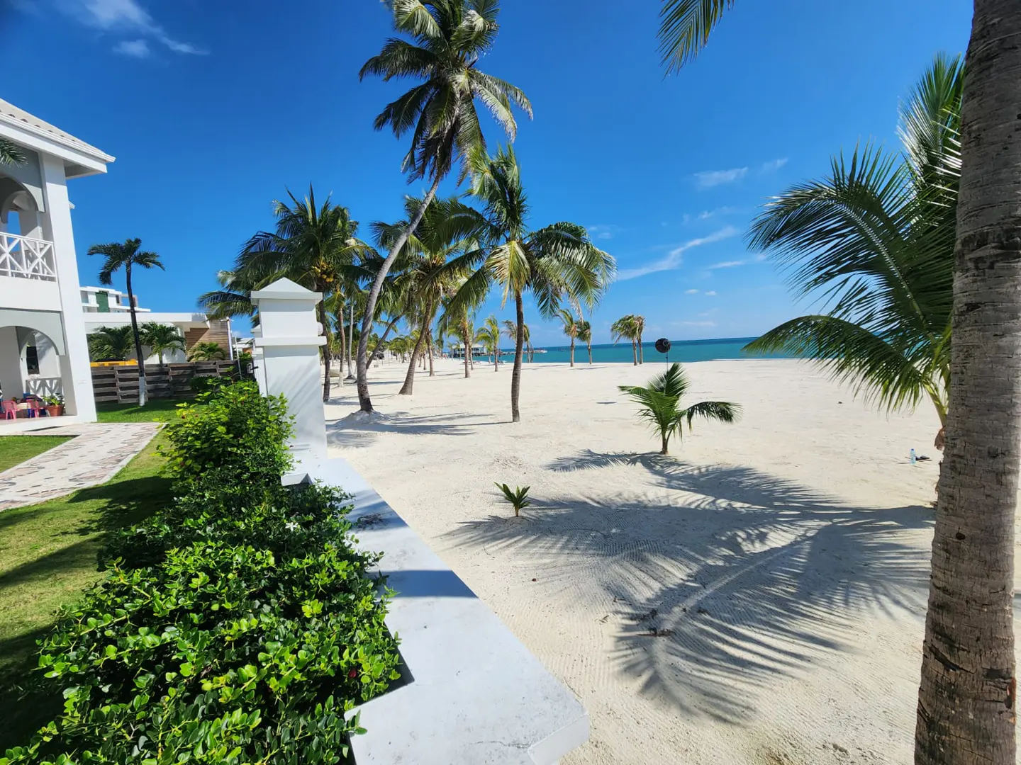 Beachfront property view with white sand, palm trees, and a clear blue sky. A white building is visible on the left.