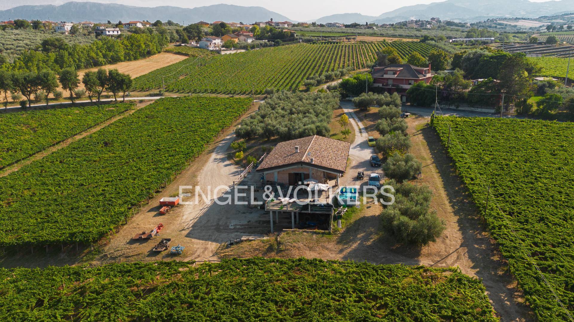 Azienda Agricola in Vendita a Rosciano, Abruzzo, Italia