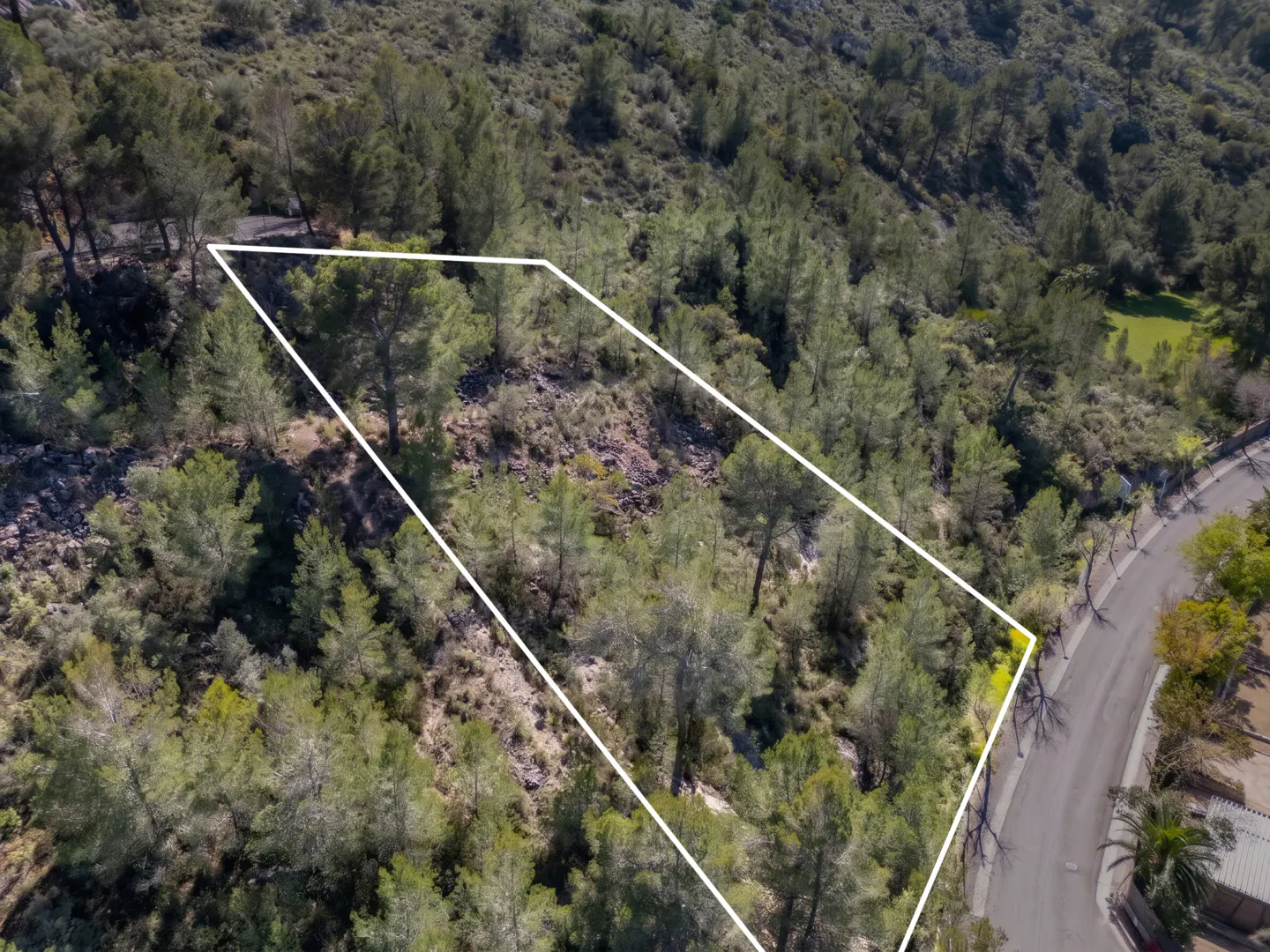 Aerial view of a wooded lot outlined in white, on a hillside near a road.