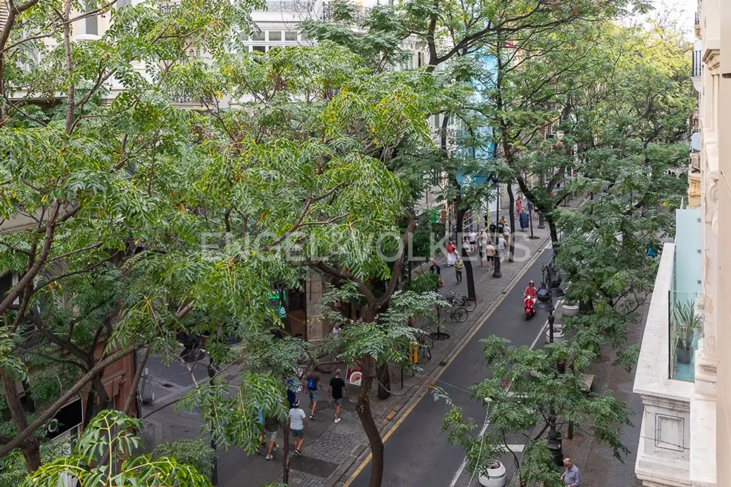 View from above of a tree-lined street with people walking and a red scooter driving on the road.